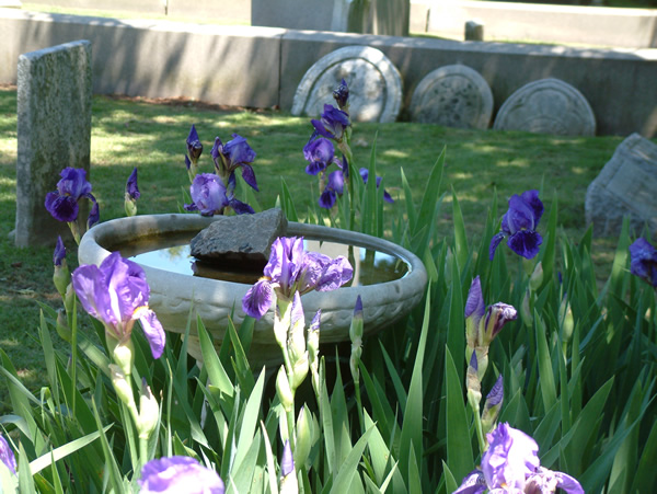 Grove Steet Cemetery National Historic Landmark