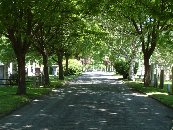 Grove Steet Cemetery National Historic Landmark