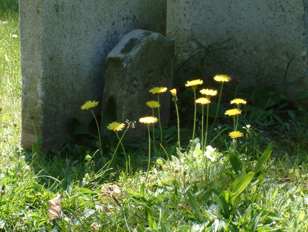 Grove Steet Cemetery National Historic Landmark