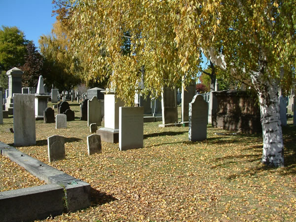 Grove Steet Cemetery View