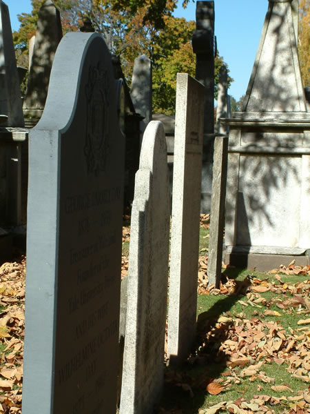 Grove Steet Cemetery View