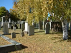 Grove Steet Cemetery View (121kb)